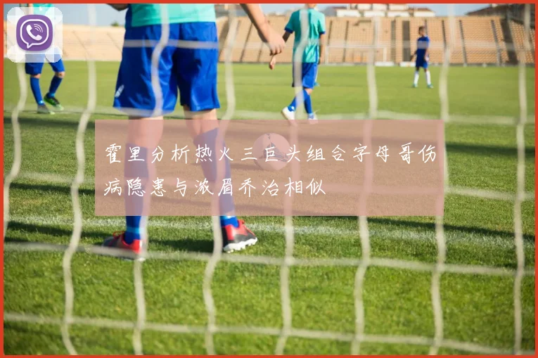 霍里分析热火三巨头组合字母哥伤病隐患与浓眉乔治相似